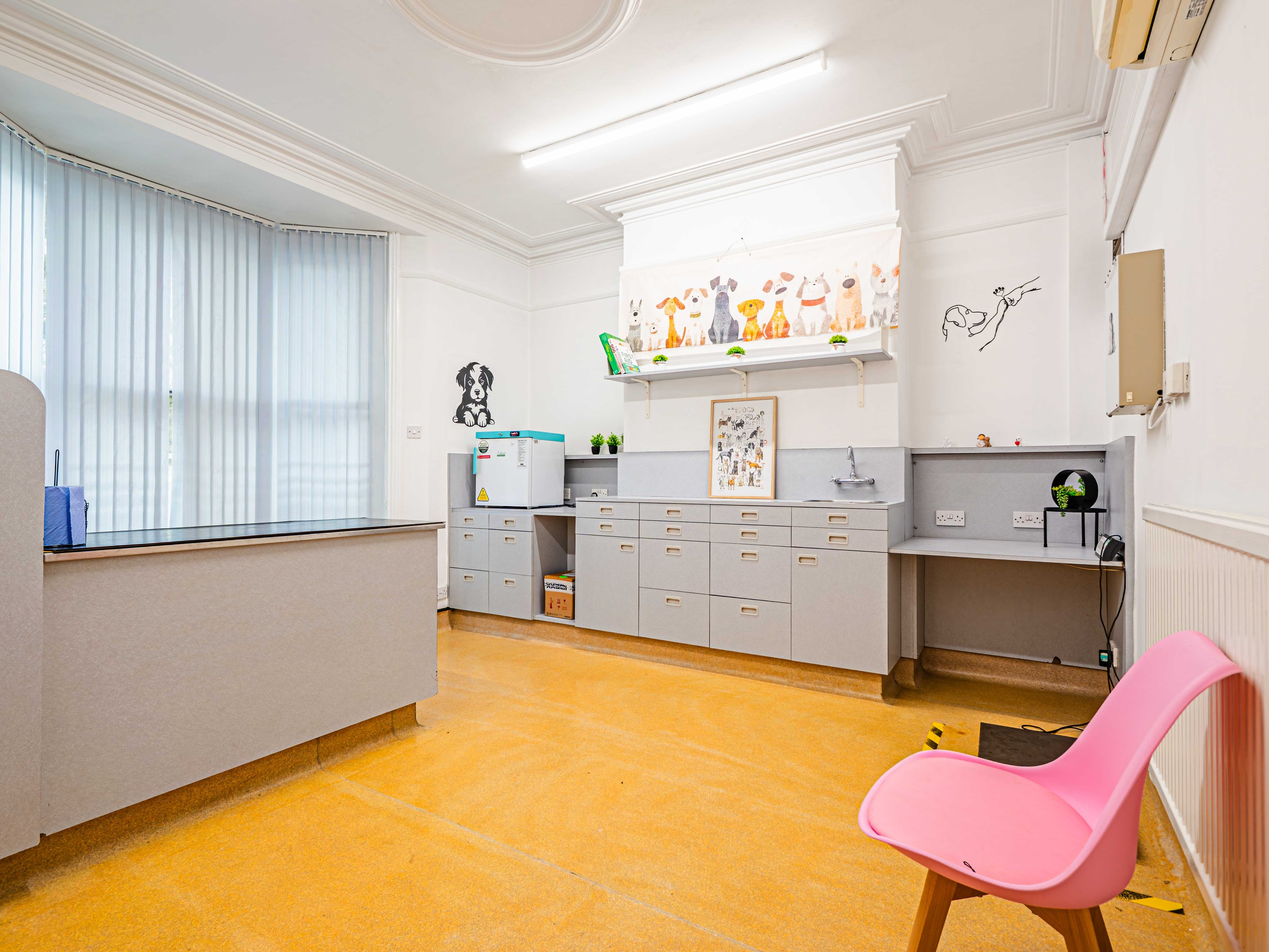 Bubu Pet surgical suite