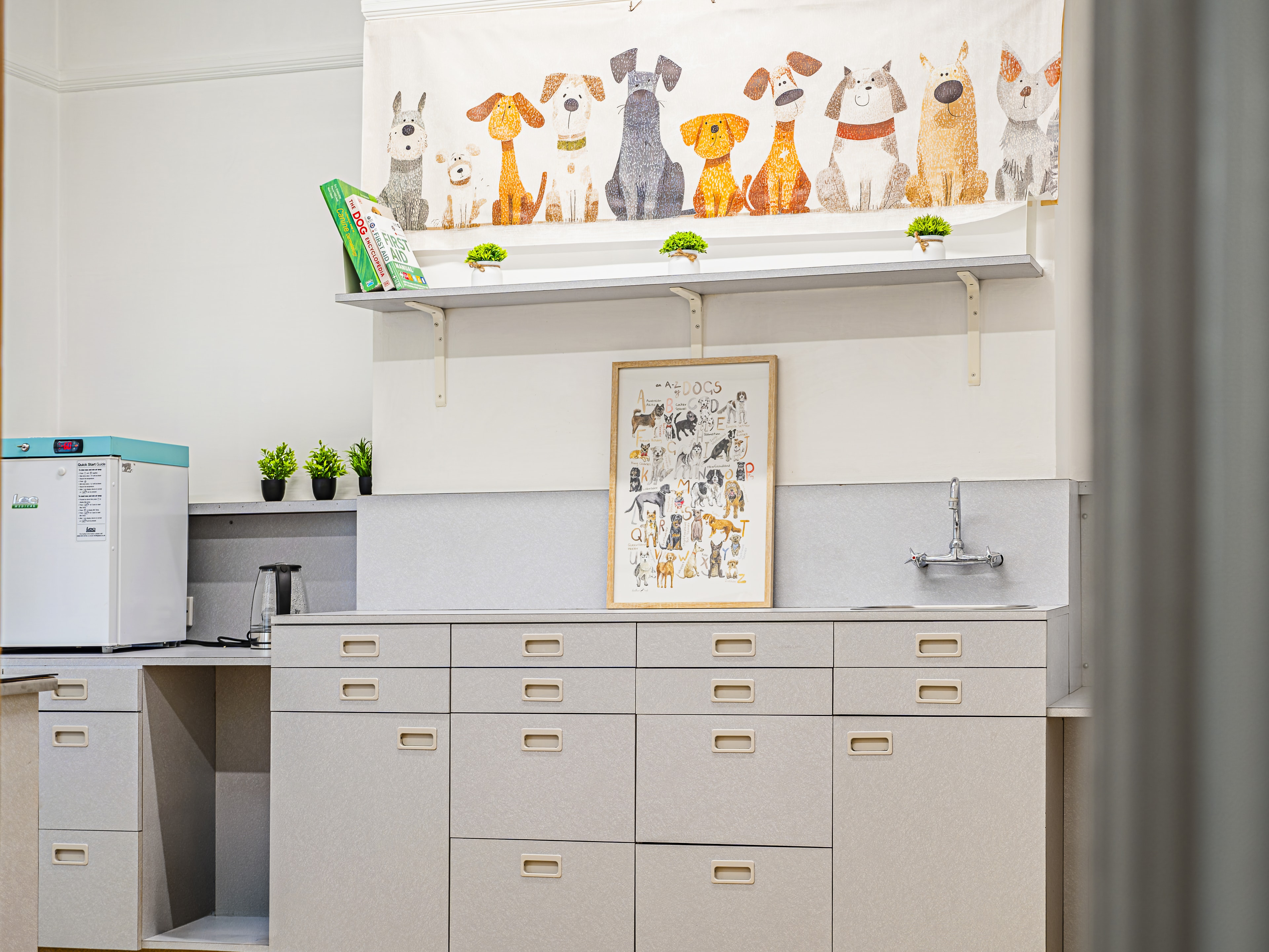 Bubu Pet staff area