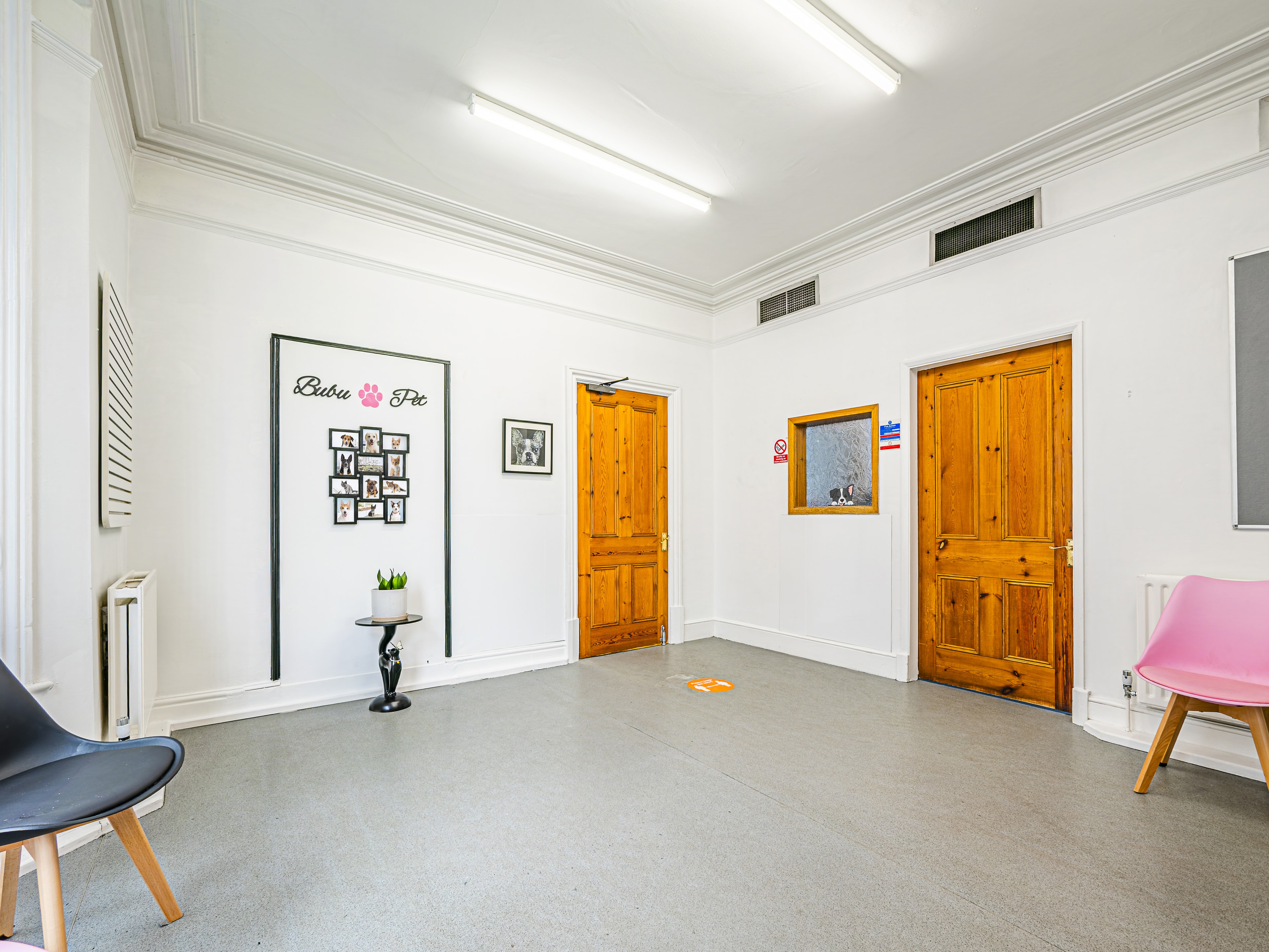 Bubu Pet treatment room